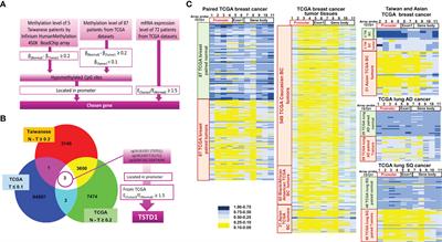 Promoter hypomethylation and overexpression of TSTD1 mediate poor treatment response in breast cancer